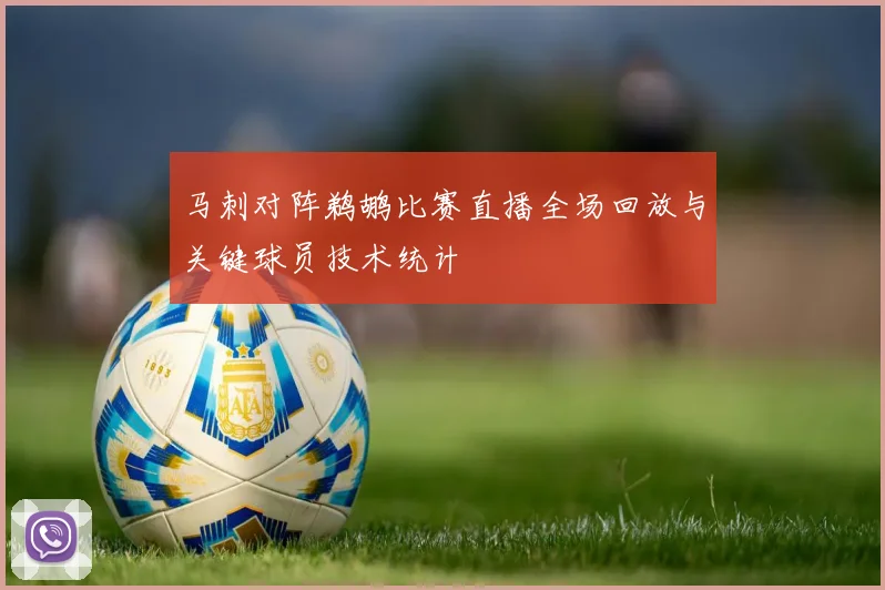 马刺对阵鹈鹕比赛直播全场回放与关键球员技术统计