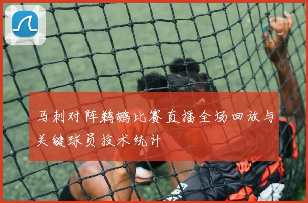 马刺对阵鹈鹕比赛直播全场回放与关键球员技术统计