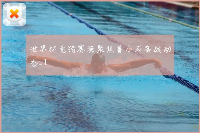 世界杯竞猜赛场聚焦鲁小石备战动态_1
