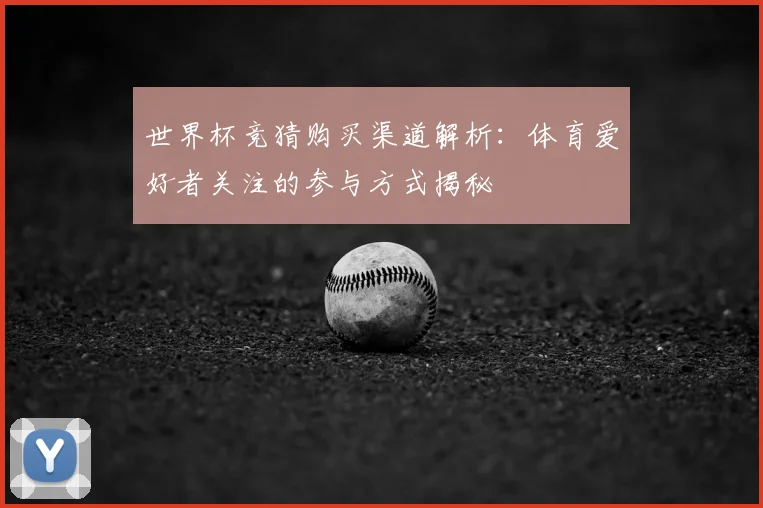 世界杯竞猜购买渠道解析：体育爱好者关注的参与方式揭秘