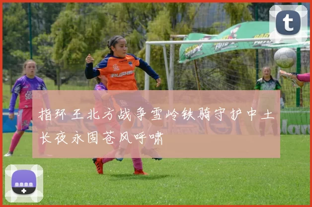 指环王北方战争雪岭铁骑守护中土长夜永固苍风呼啸