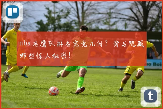 nba老鹰队排名究竟几何？背后隐藏哪些惊人秘密！