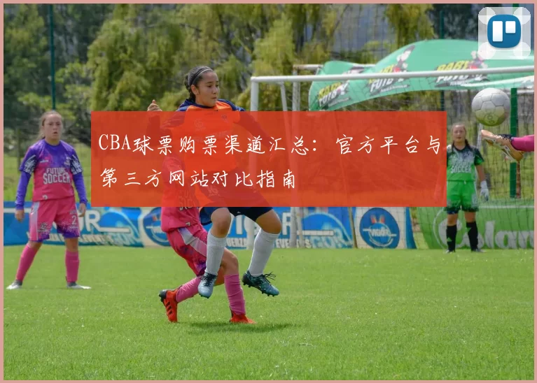 CBA球票购票渠道汇总：官方平台与第三方网站对比指南